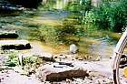 003_sinntal2.jpg 003_sinntal2.jpg