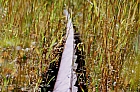 006_gleis1.jpg 006_gleis1.jpg