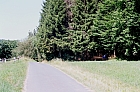 009.jpg 009.jpg