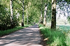 012_allee1.jpg 012_allee1.jpg