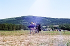 014_amberch1.jpg 014_amberch1.jpg